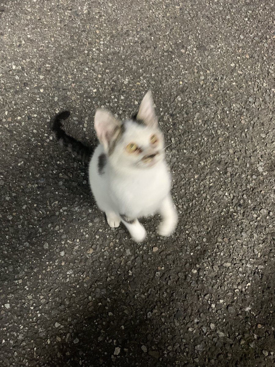 もう一度撮れと言われても撮れない写真