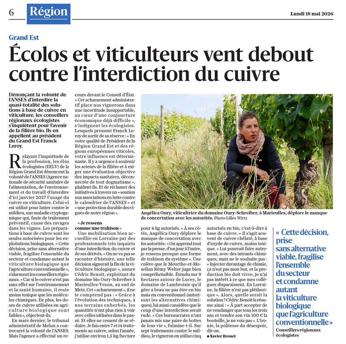 Gil Rivière-Wekstein tweet media