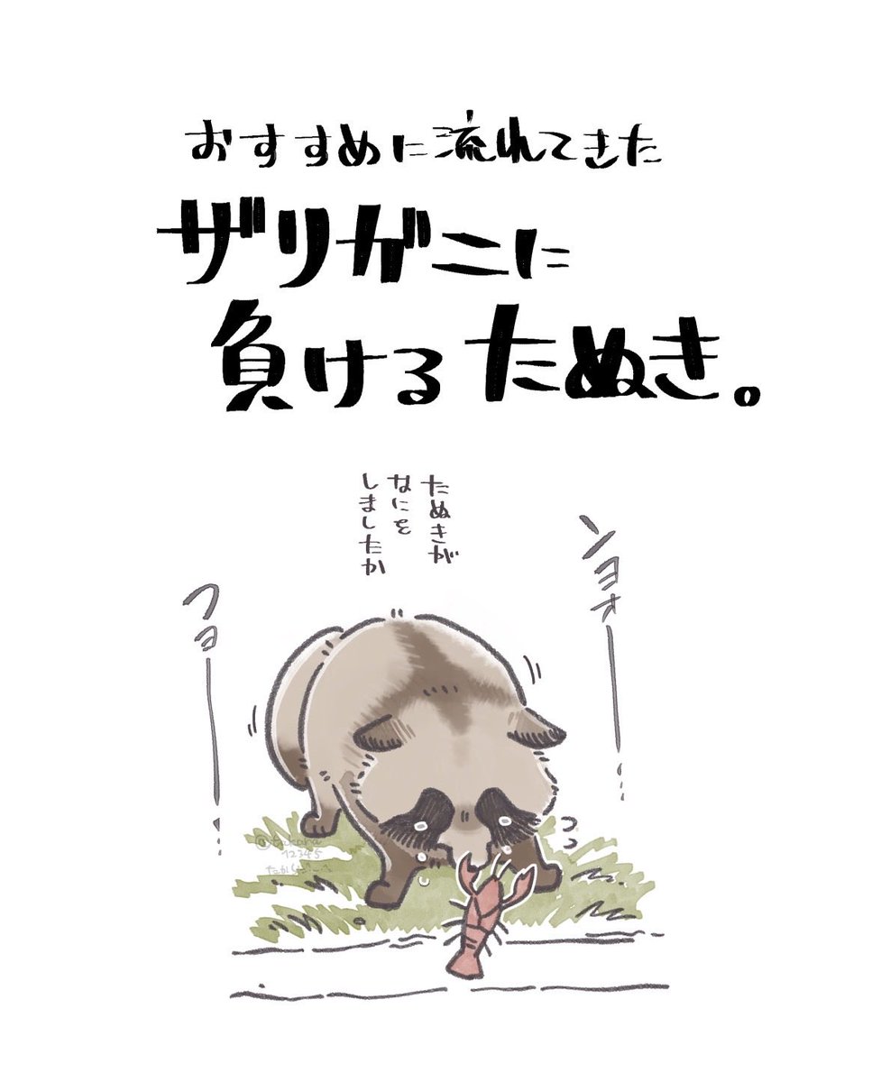 はむすたから＠はむスタンプ tweet media