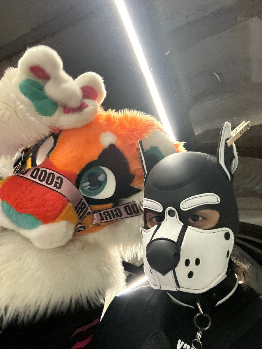 One Really Horny Furry tweet media