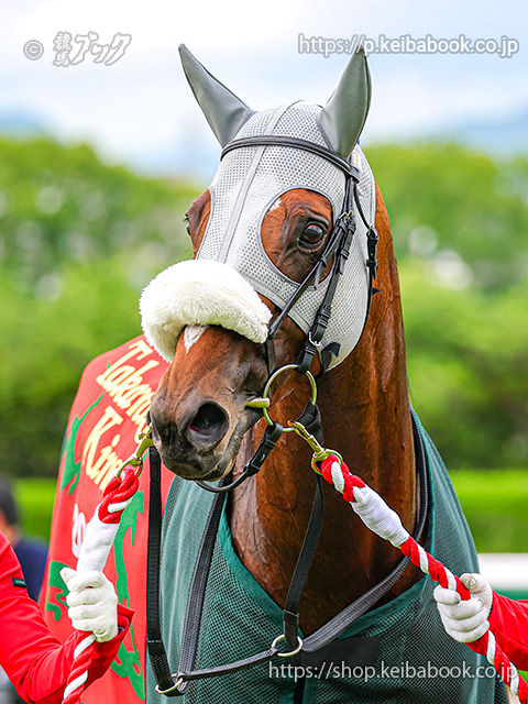 競馬ブックネットSHOP tweet media