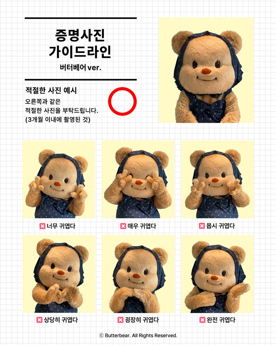 Butterbear.kr tweet media