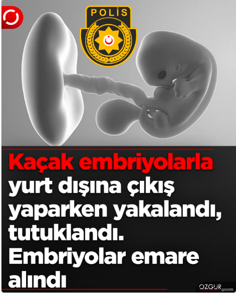 🇹🇷🇵🇸Media Famagusta🇹🇷🇵🇸 tweet media