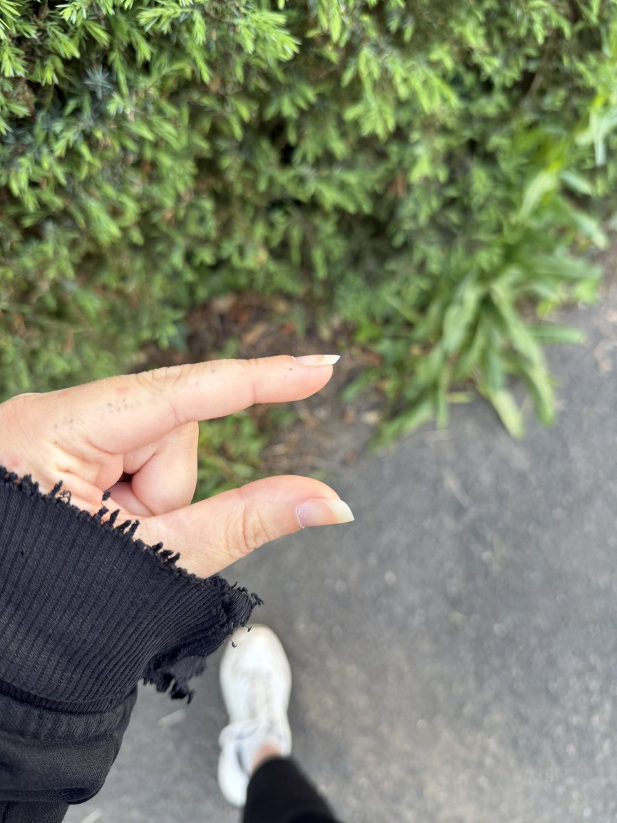 ☥ 𝐙𝐢𝐠𝐠𝐲 ☥🦇⚜️| nr 1 bread lover tweet media