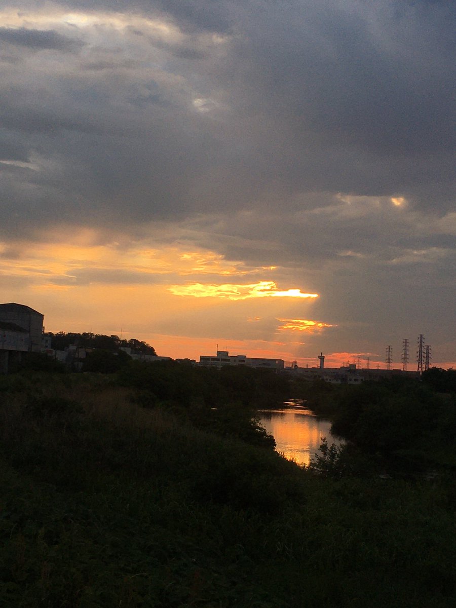 傳田光洋 Mitsuhiro Denda Ph.D. tweet media