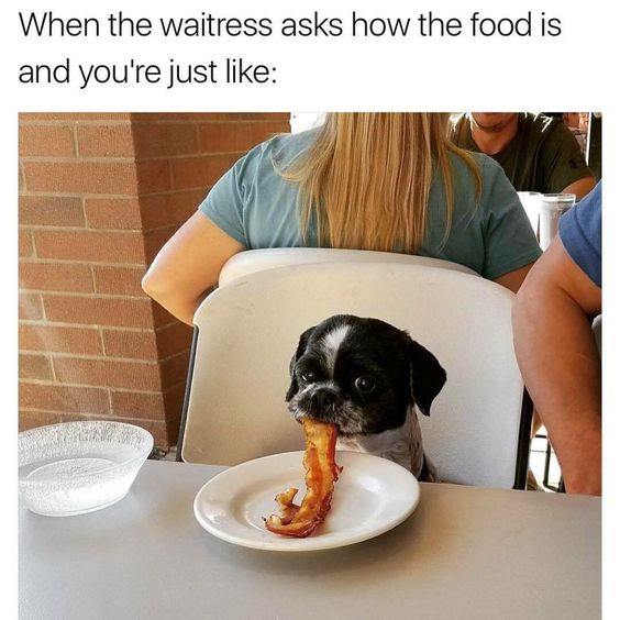 WholesomeMemes tweet media