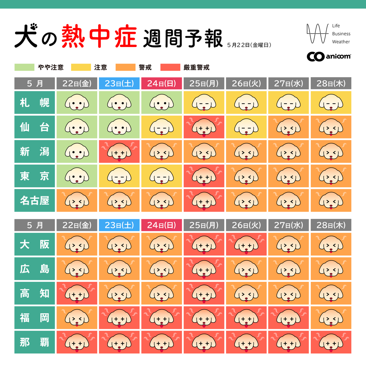【公式】アニコム | ペット保険（だけじゃない） tweet media