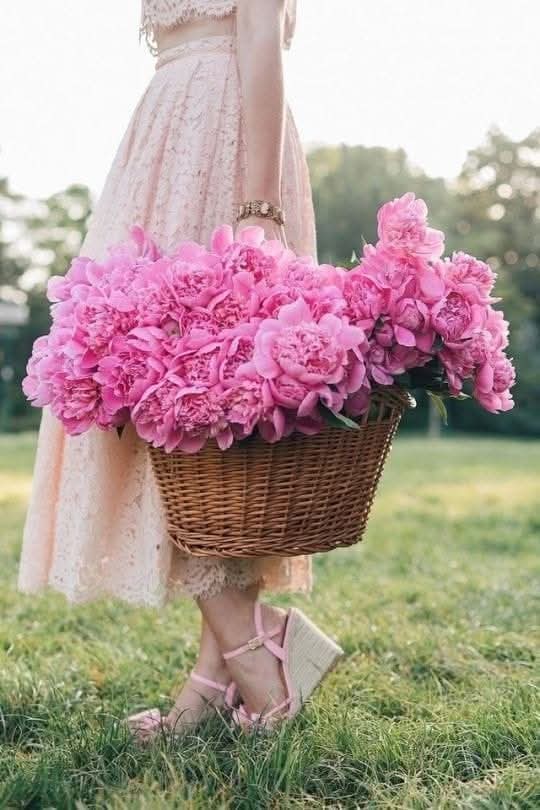 Sabine 🌟💛💫 tweet media