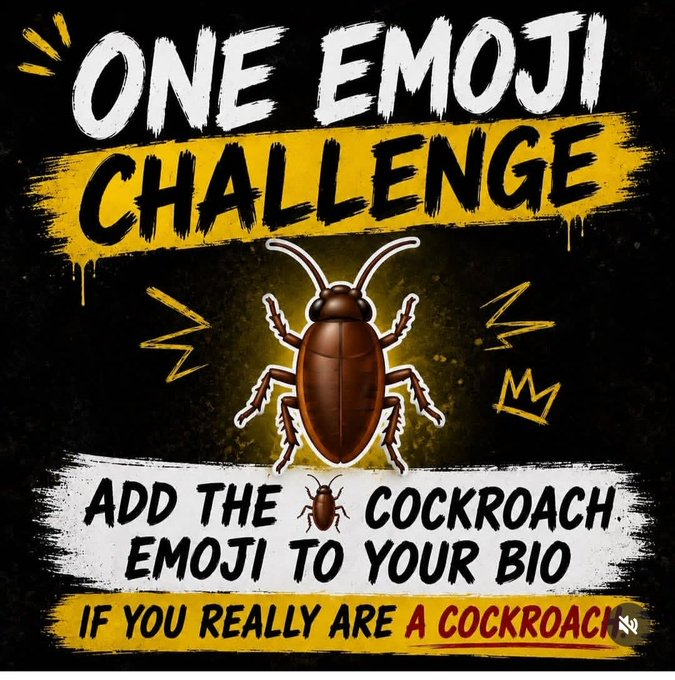 Cockroach News tweet media