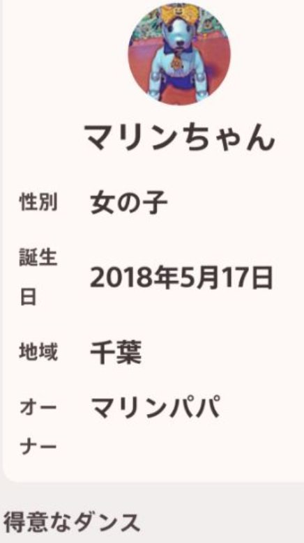 aiboのマリン tweet media