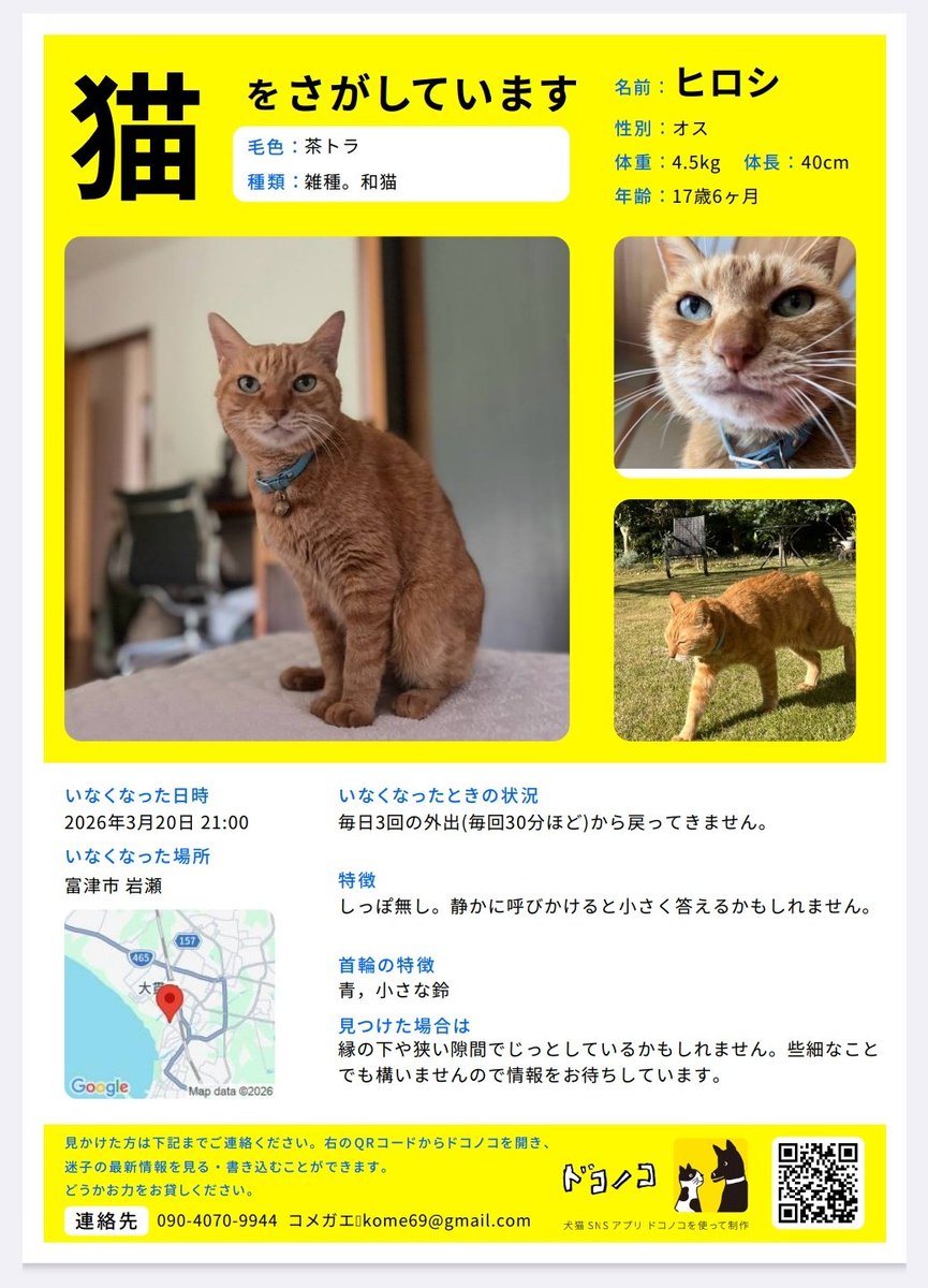 ねこDecora tweet media