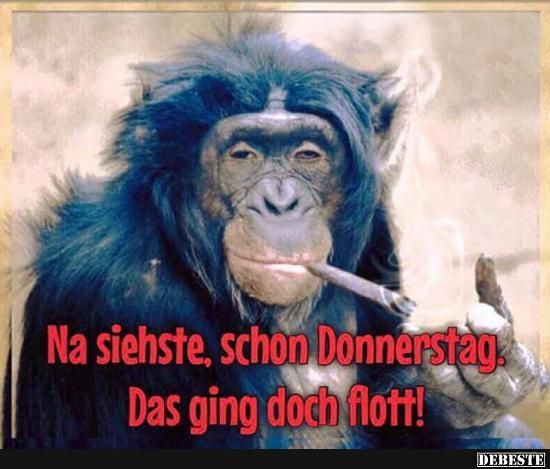 ArnoNühm tweet media