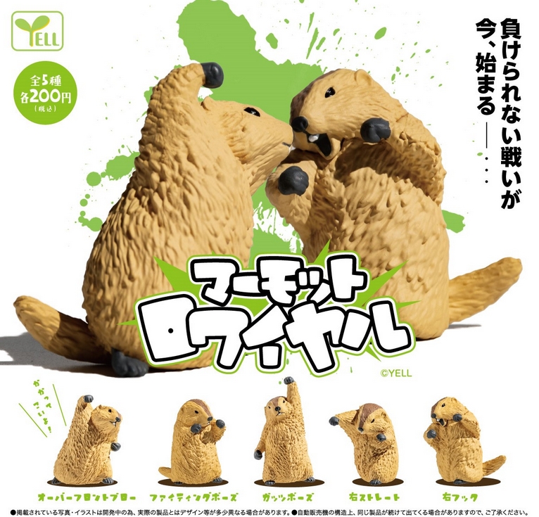 がちゃぽんぽん tweet media