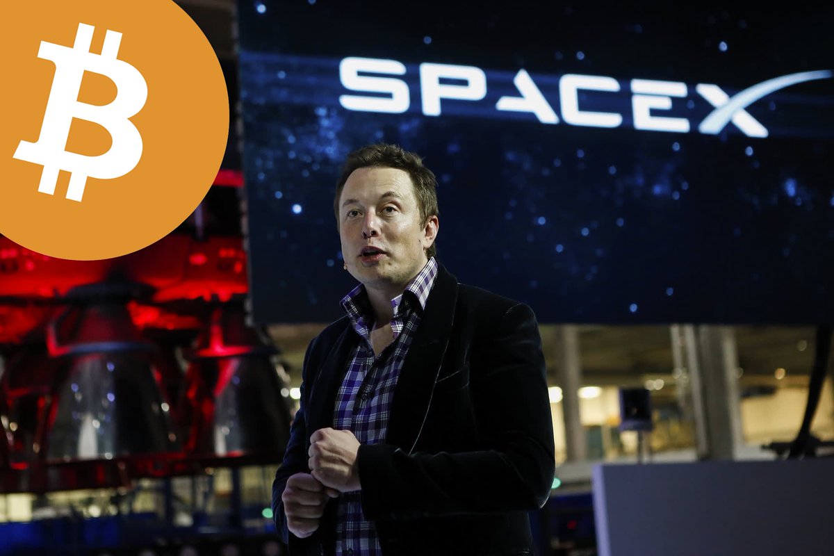 Mr.₿itcoin tweet media