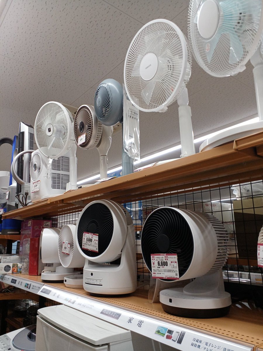 hardkiso's tweet photo. 夏を迎える準備はお済みですか？😺
ハードオフ町田木曽店には、扇風機、サーキュレーター、冷風扇など豊富に揃えております✨️
ぜひご来店ください😊🎵

#ハードオフ #町田木曽 https://t.co/Y6rPXXpls6