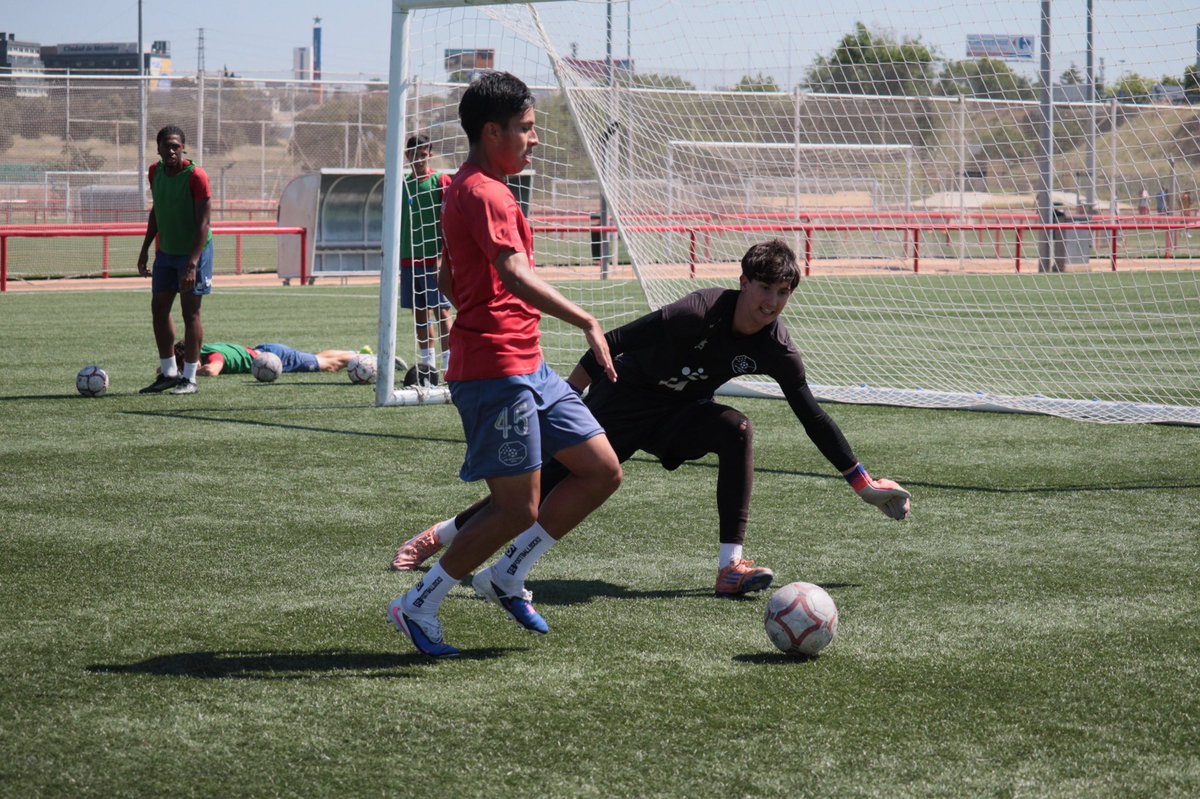 Cantera CD Móstoles URJC tweet media