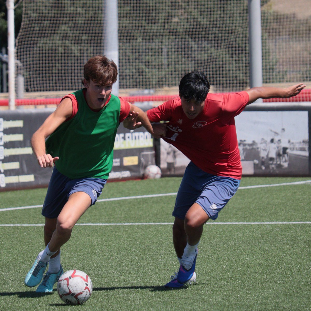 Cantera CD Móstoles URJC tweet media