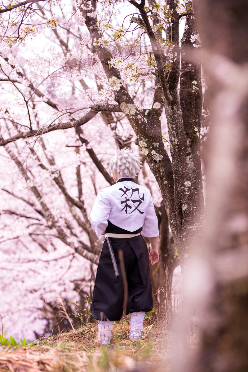 わゆ🍃 tweet media