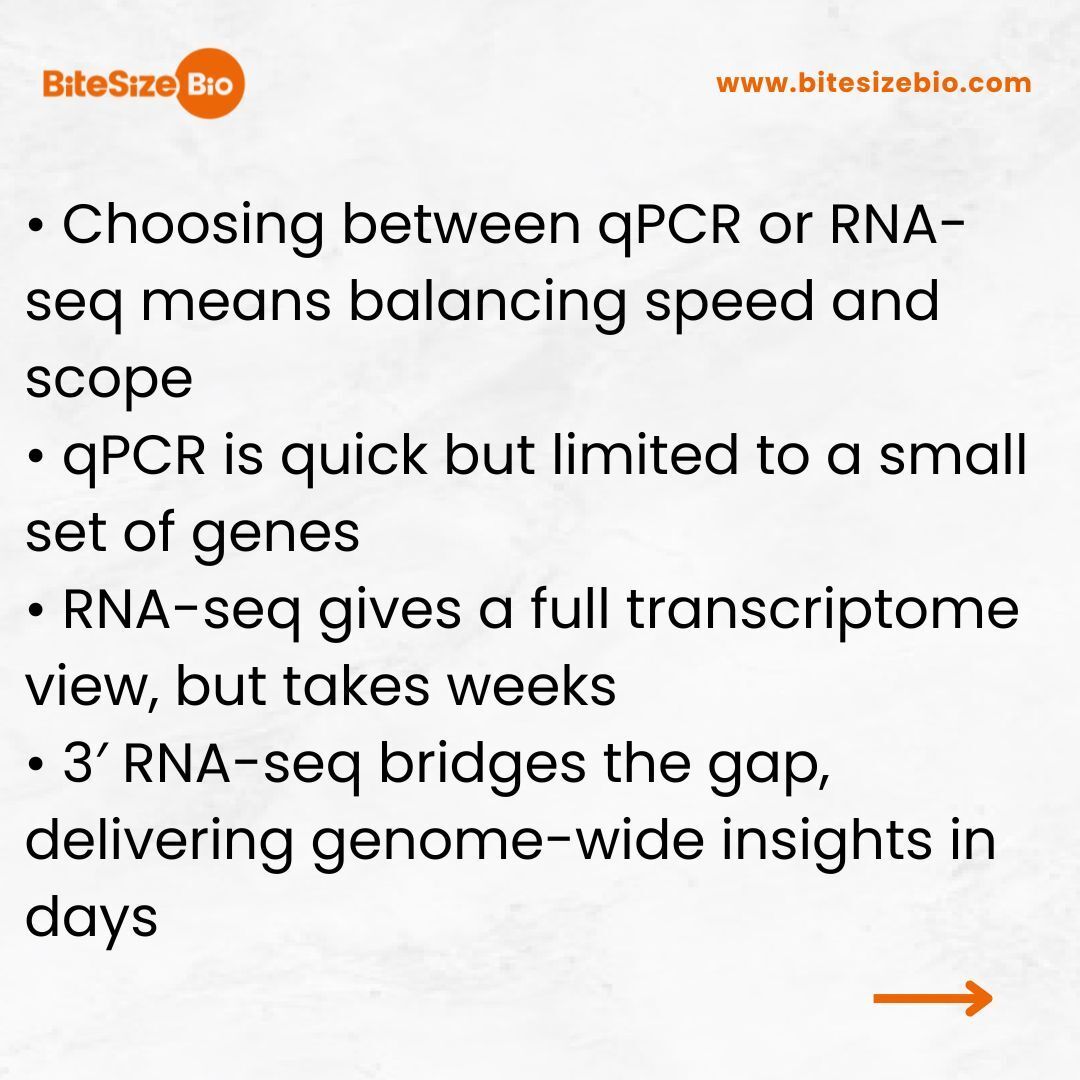 BitesizeBio's tweet photo. Choosing between qPCR or RNA-seq often comes down to speed or scope. But what if you didn’t have to make that compromise? Learn how 3′ RNA-seq enables fast, transcriptome-wide insights to guide experiments earlier. Read the article now → https://t.co/Px26yEnGIO https://t.co/aCF7QLcZEk
