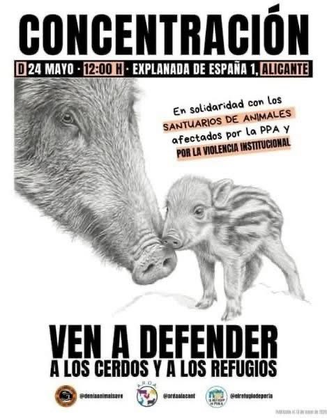 Plataforma NAC #NoALaCaza tweet media