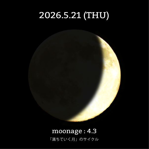 moon_cycle tweet media