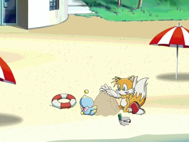 Daily Tails Pics tweet media