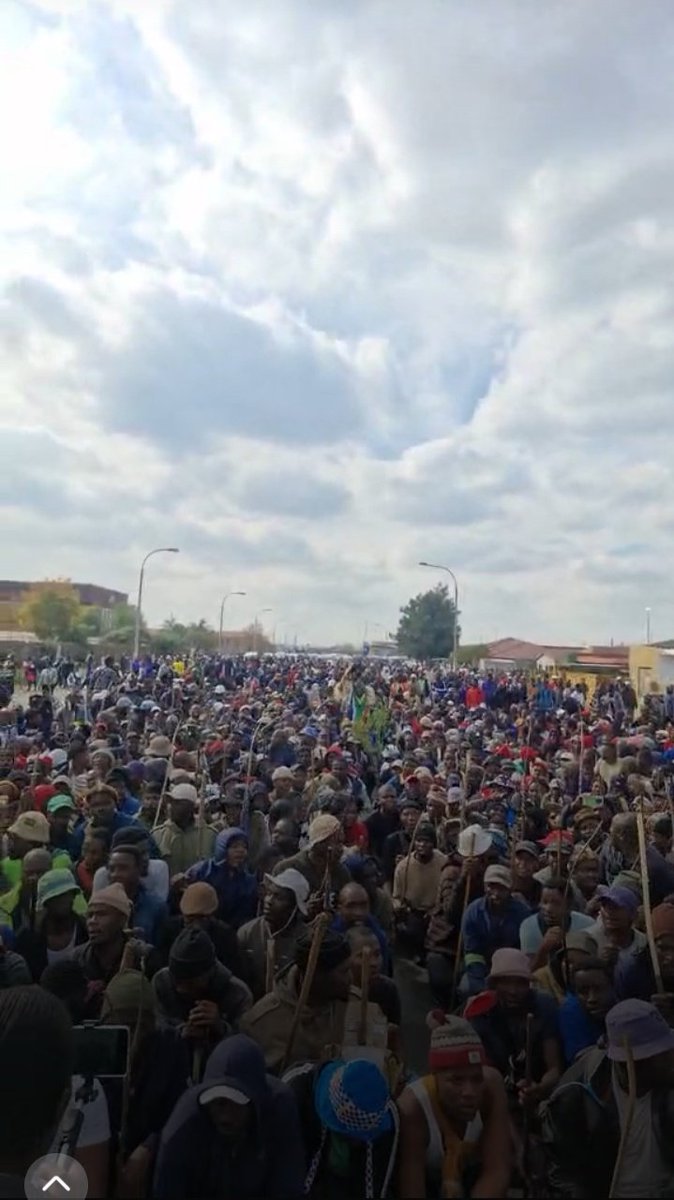 Ntokozo Masuku tweet media