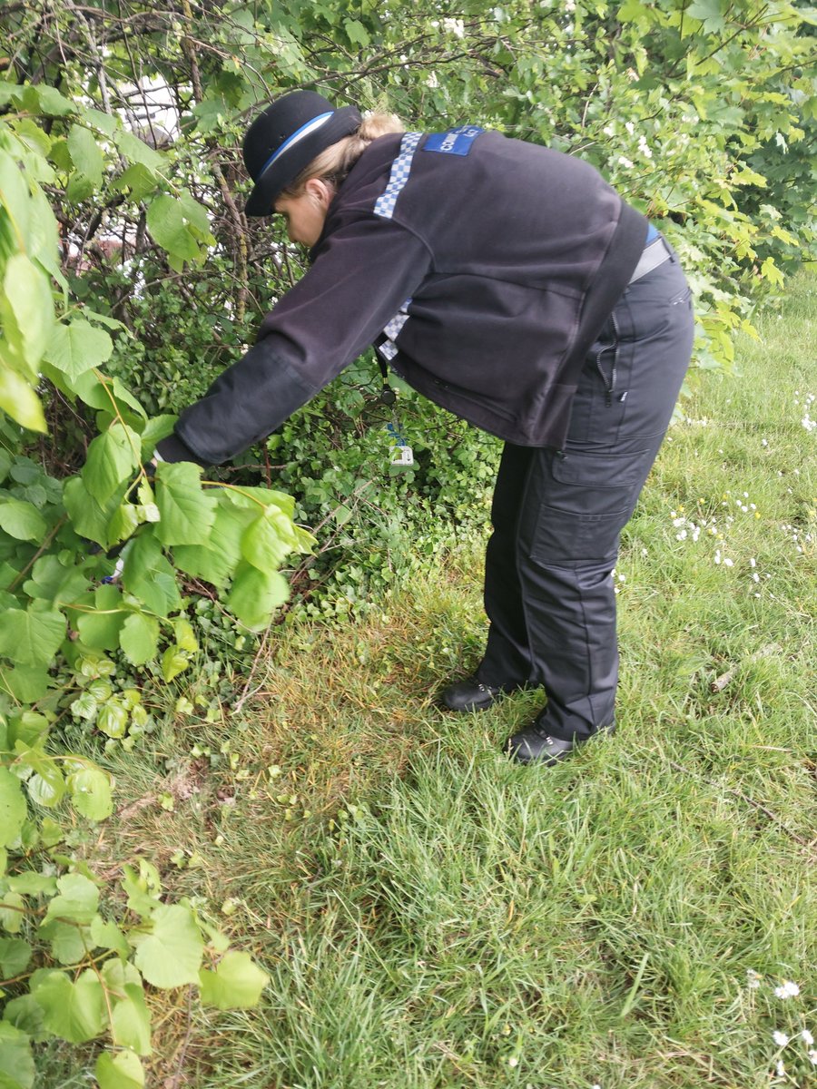 Sparkbrook Police tweet media