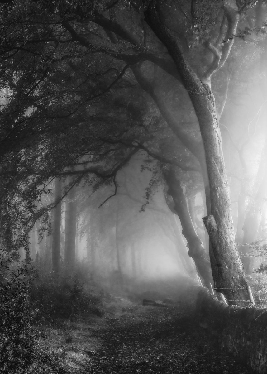 Andy Gray Photography tweet media