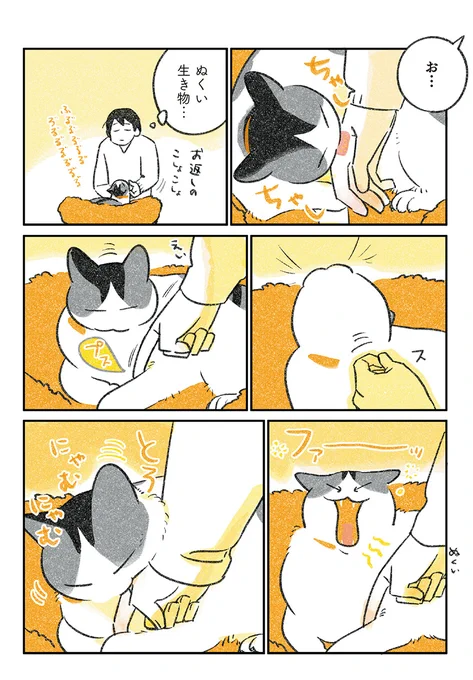 (4/4) 