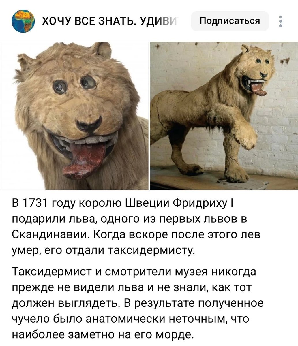 Страдающее Средневековье tweet media