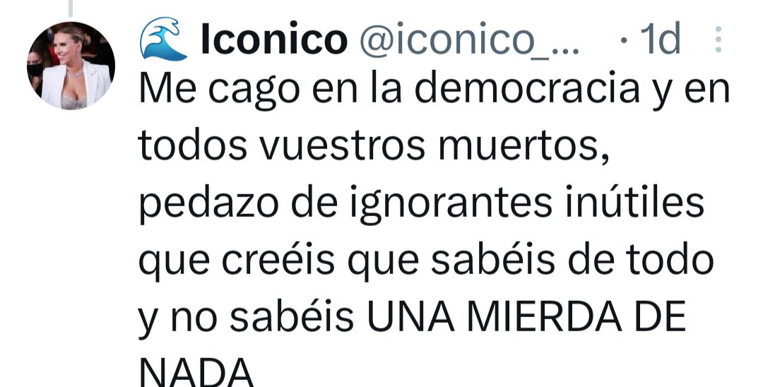 Padr'Elisa tweet media