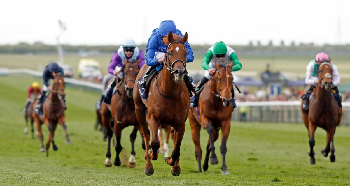 Darley in Europe tweet media