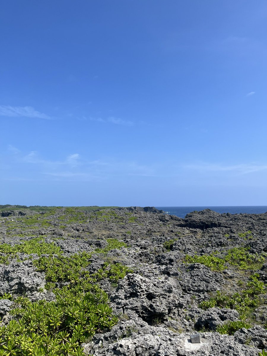 tig_aimer's tweet photo. なんもしとうない https://t.co/EiejN8l6a4