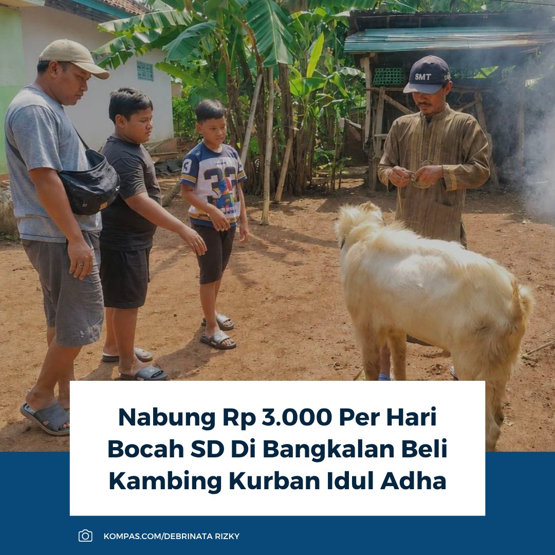 kompascom's tweet photo. Baca selengkapnya: https://t.co/JLygnmScFl

Seorang siswa kelas 3 SD di Bangkalan, Shabil, menabung Rp 3.000–Rp 5.000 per hari dari uang saku sekolah dan madrasah untuk membeli kambing kurban Idul Adha. Paman membantu mencarikan kambing yang cocok.

~RK #kambing #siswa https://t.co/EWB4rbzCtx