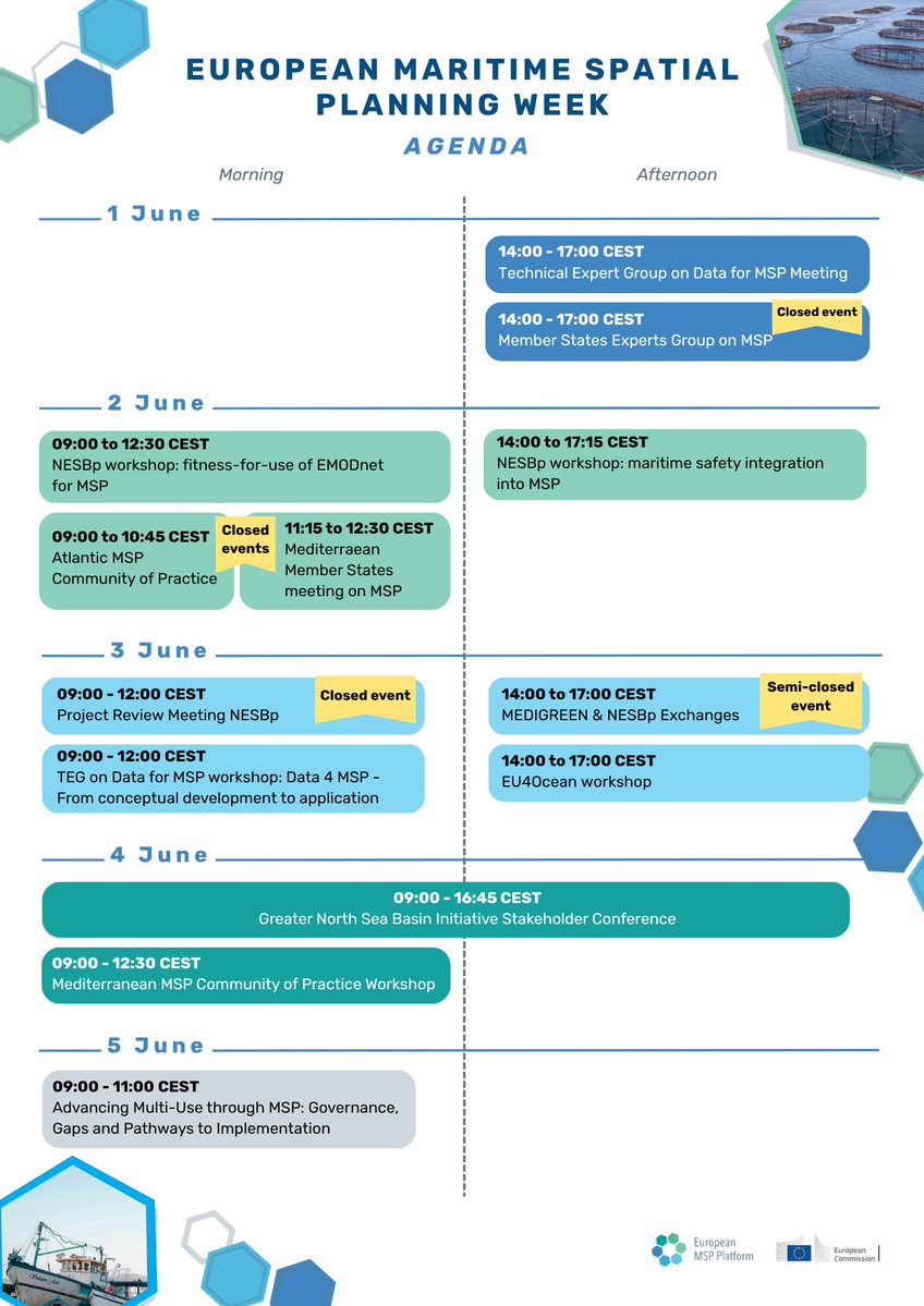 EU MSP Platform tweet media