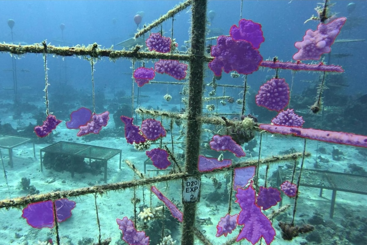 SustMeme's tweet photo. Latest issue of @SustMeme Magazine:
👑 #Sustainability in Starmer Drama;
💶 Funding home #solar in SE Asia;
🪸 AI digital twin for #coral reef;
💄 Fair #shea for beauty brands;
♻️ #Transparency, not just taglines.
Read in full + free: https://t.co/OZLfygRSUR
©McClelland Media Ltd https://t.co/RT6YGbHPW0