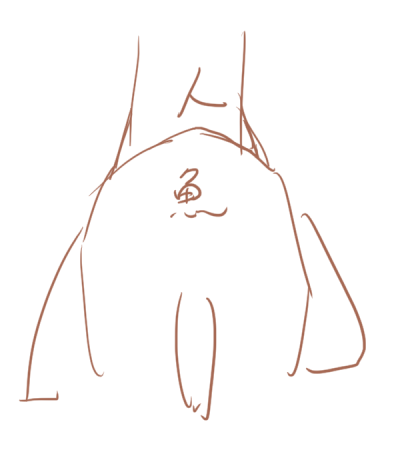 って思ったんだけど、冷静に描き直してたら背中側は凸型になるように描いてた。つまり断面はこうなるから違った……