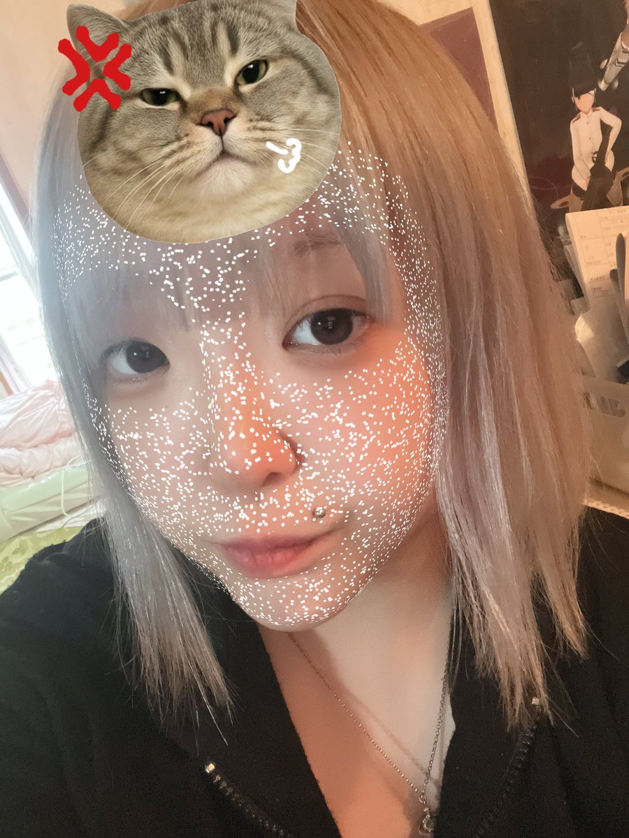 ご み ニ ャ ン ︎🤍️🪽 tweet media