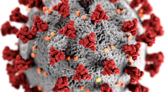 Global Virus Network tweet media
