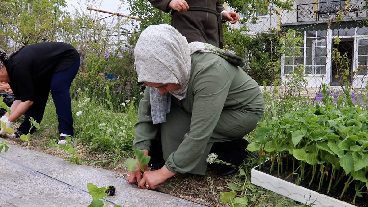 edremitbldvan's tweet photo. Li Artemêtê keda jinan bi axê re yekbûniyê didomîne!

Projeya me ya 'Baxçeyên Civakî yên Jinan', ku ji aliyê Rêveberiya me ya Polîtîkayên Jinan û endamên meclîsa me yên jin ve hatiye meşandin, di heyama nû de bi toreke hevgirtinê ya hê xurttir mezin dibe.

Piştî ku me di sala 2025an de li Taxa Eminpaşayê dest bi rêwîtiya xwe ya hilberînê kir, me çandina yekem a şitlan a sala 2026an li Taxa Şabaniyê û çandina duyem jî dîsa li Taxa Eminpaşayê pêk anî. Ji ber ku şitil ji aliyê nêzîkî 60 jinên hilberîner ve hatin çandin, hêza hevgirtinê careke din mezin bû.

Bi projeya xwe, em; Ji bo jinan qadên hilberîna domdar diafirînin, Hilberîna kolektîf û hevgirtinê xurt dikin, Tovên herêmî û çandiniya ekolojîk ber bi paşerojê ve dibin.
Rawestgeha me ya din Taxa Selahaddîn Eyyûbî ye! Em ê li taxên xwe yên din jî li ser hilberîn, parvekirin û mezinkirina hevgirtinê bidomînin
