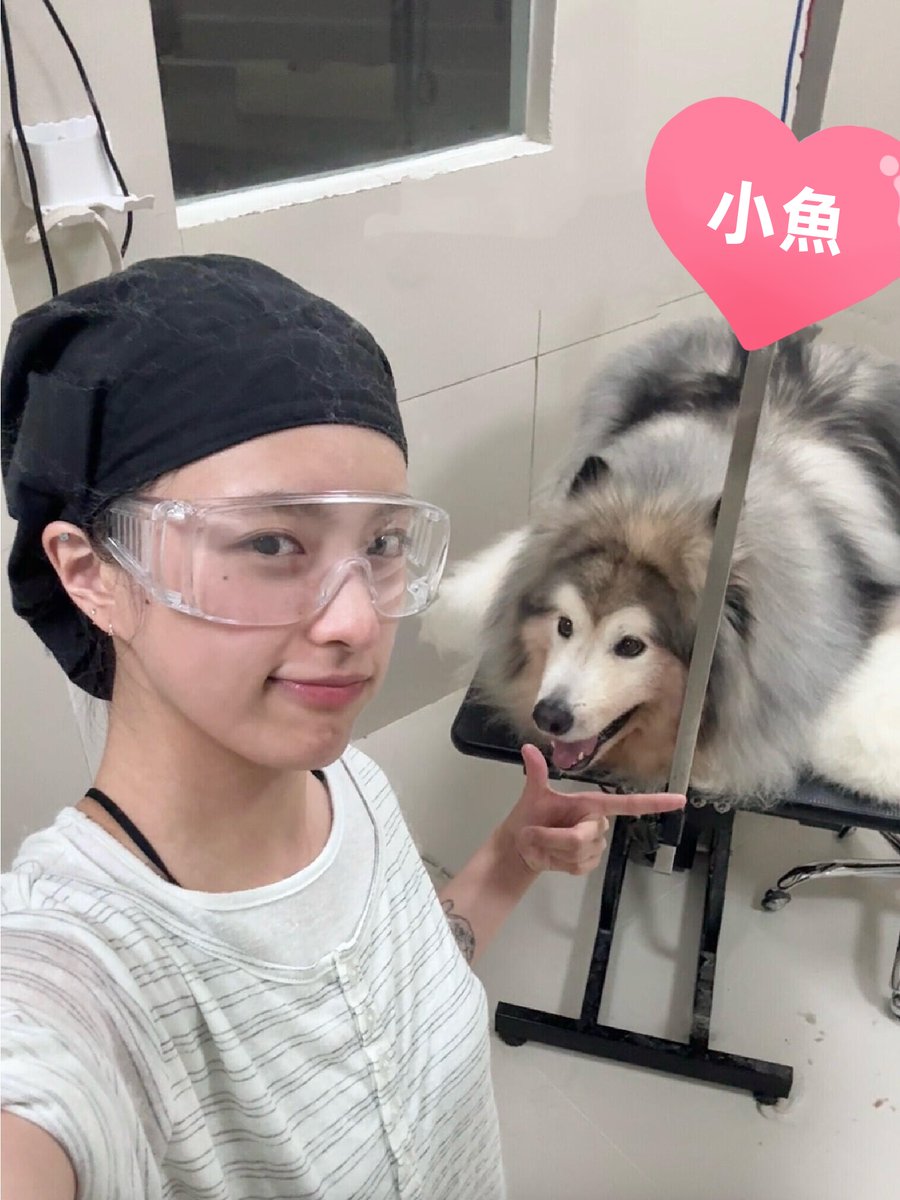 小魚和狗狗❤️ tweet media