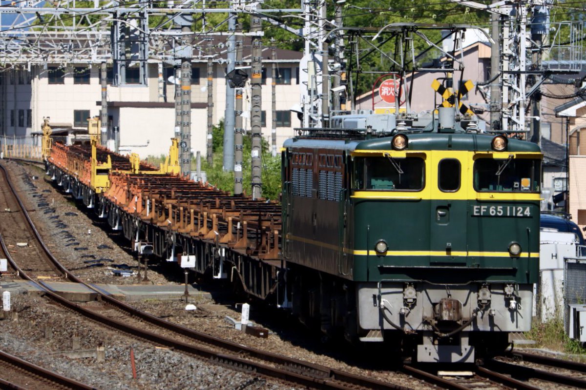 三味線バチ【送料無料】m258管理 先週の収穫です。 工8389レ(新山口工臨 EF65-1124＋ロンチキ) 山崎ー
