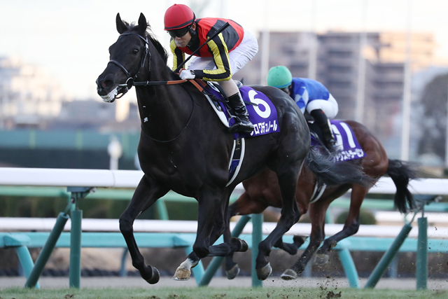JRA-VAN公式 tweet media