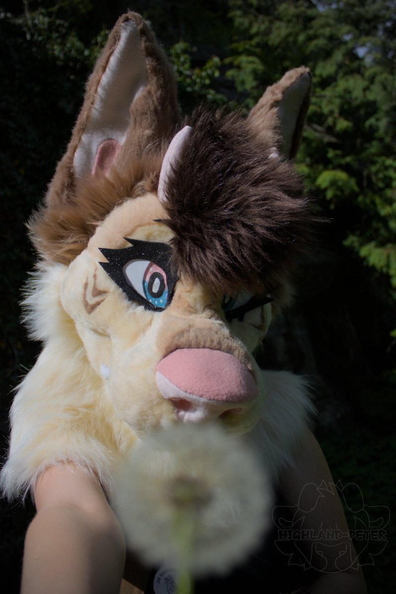 TezzClawz ⊹ ࣪ ˖ tweet media