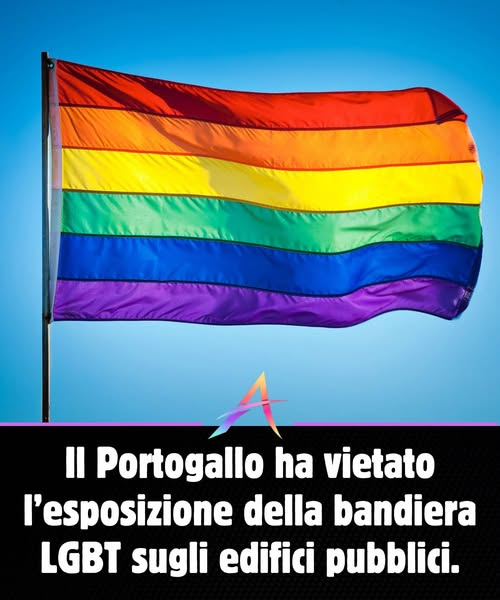 Stefania❤️ tweet media
