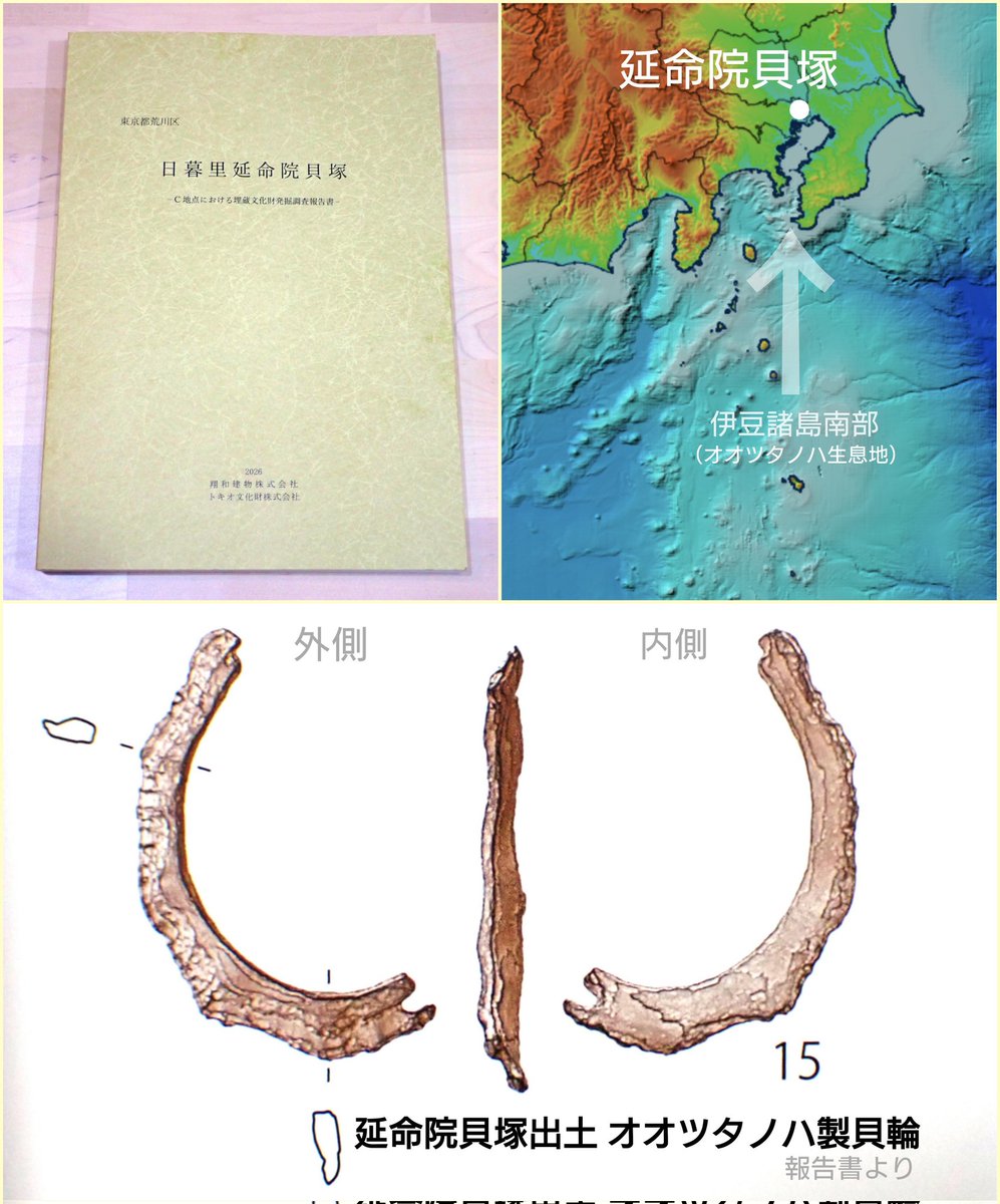 ↓なぜ特筆すべき成果かというと、貝塚を長年研究していても滅多に発見