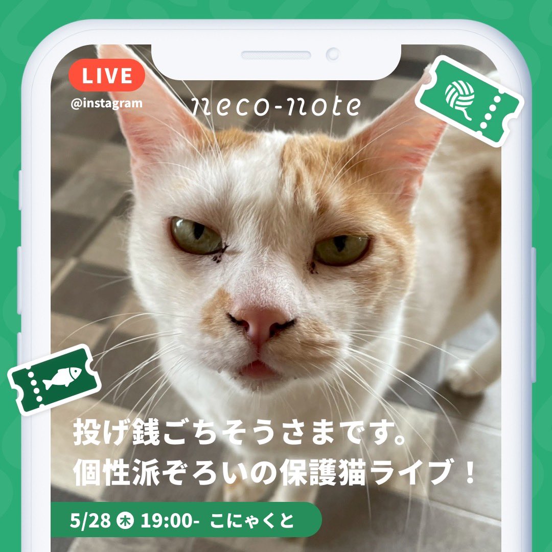 📢ライブ配信のお知らせ】 5/28 19時からは栃木県で活動されているこ