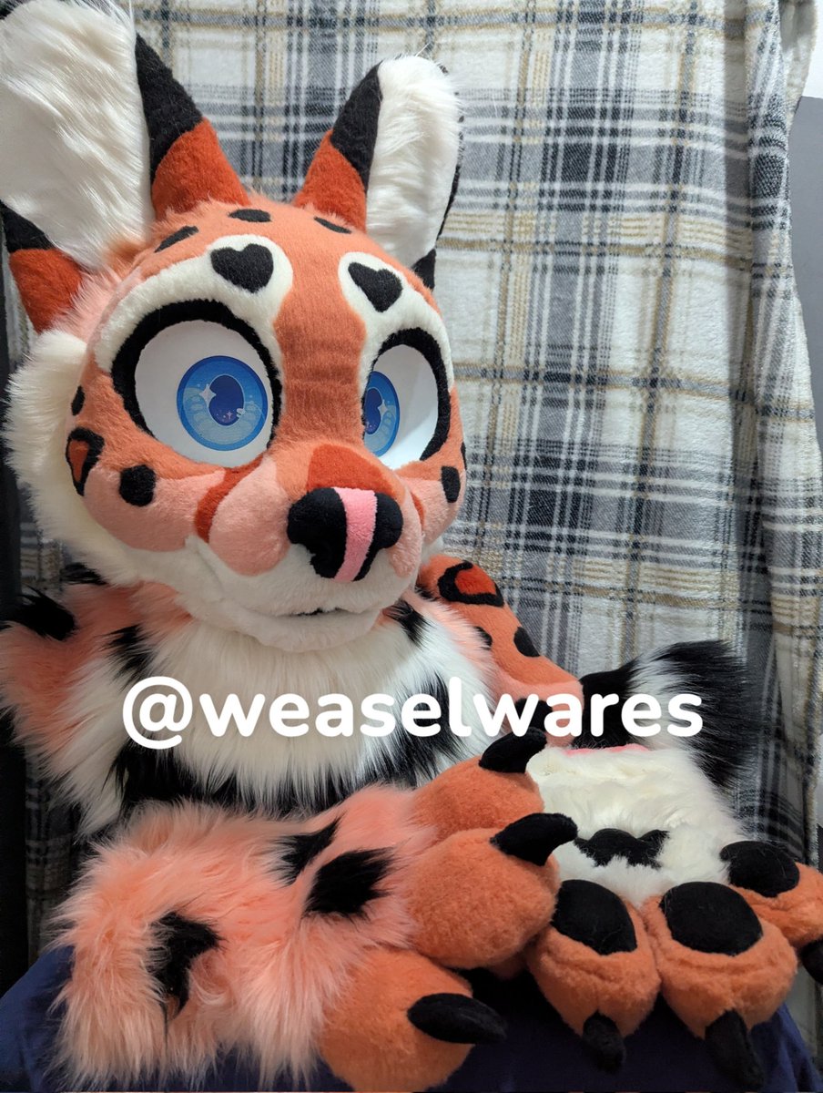 literally just a worm (SC+ CFZ) tweet media