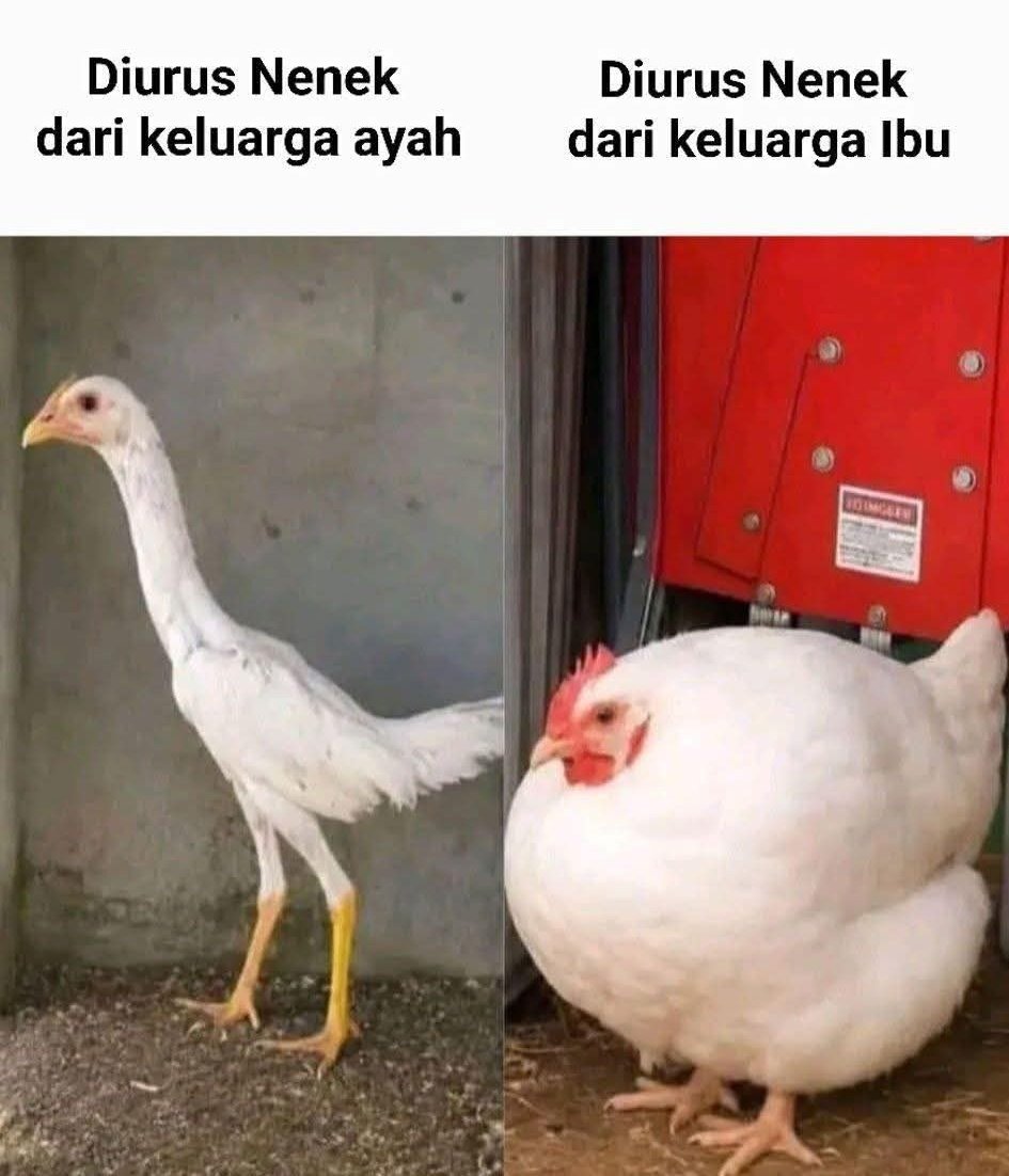 Ketawa itu GRATIS 🛩 tweet media
